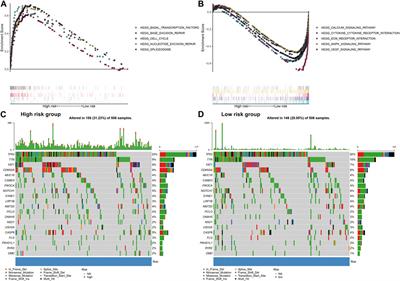 Systematic establishment and verification of an epithelial-mesenchymal transition gene signature for predicting prognosis of oral squamous cell carcinoma